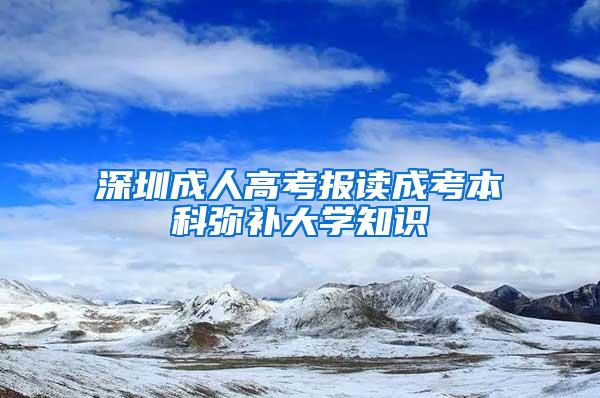 深圳成人高考报读成考本科弥补大学知识