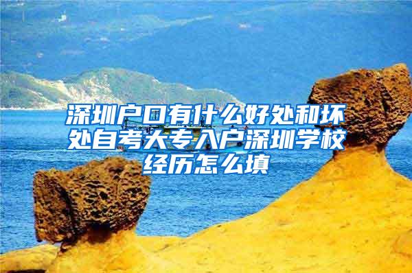 深圳户口有什么好处和坏处自考大专入户深圳学校经历怎么填