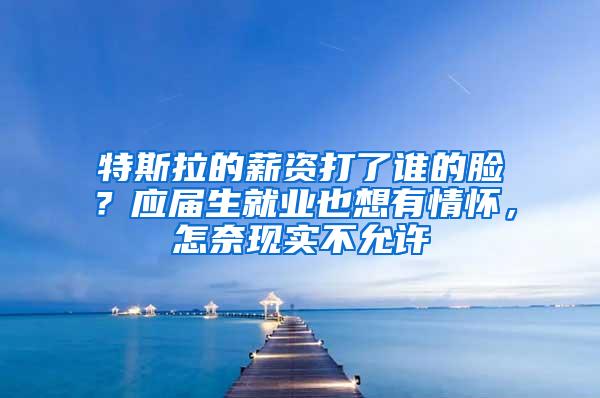 特斯拉的薪资打了谁的脸？应届生就业也想有情怀，怎奈现实不允许