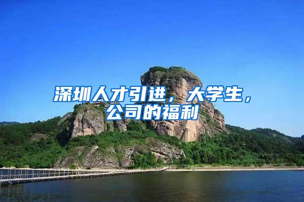 深圳人才引进，大学生，公司的福利