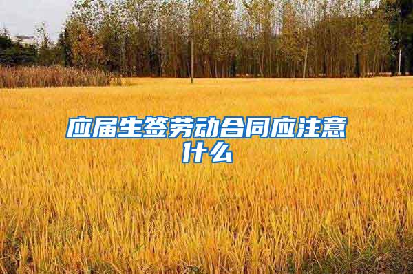 应届生签劳动合同应注意什么