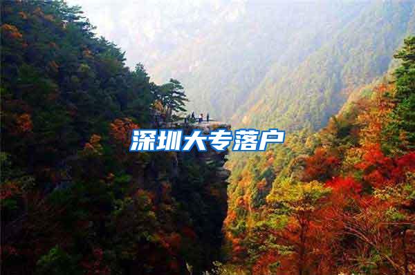 深圳大专落户