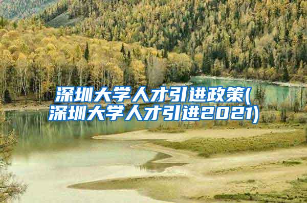 深圳大学人才引进政策(深圳大学人才引进2021)