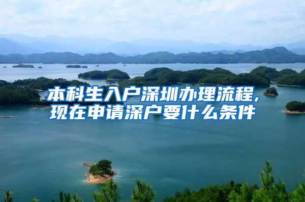 本科生入户深圳办理流程,现在申请深户要什么条件