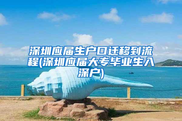 深圳应届生户口迁移到流程(深圳应届大专毕业生入深户)