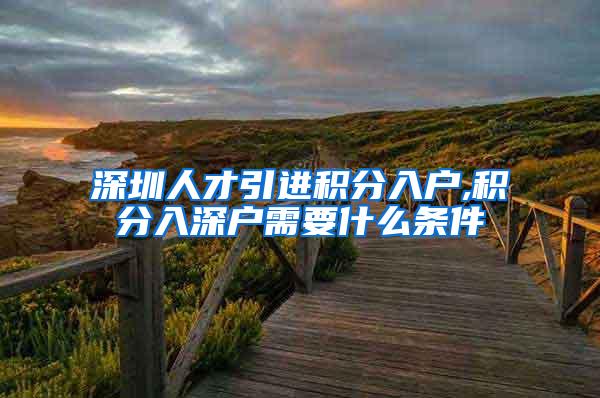 深圳人才引进积分入户,积分入深户需要什么条件