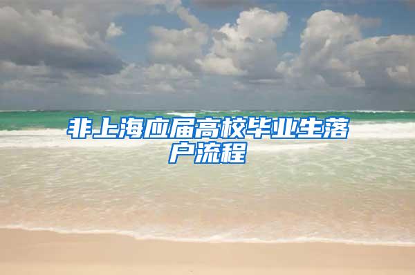 非上海应届高校毕业生落户流程