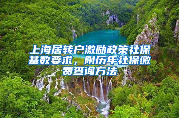 上海居转户激励政策社保基数要求，附历年社保缴费查询方法
