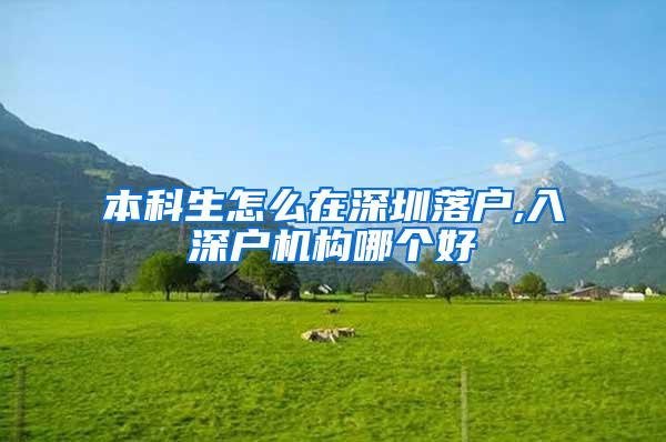 本科生怎么在深圳落户,入深户机构哪个好