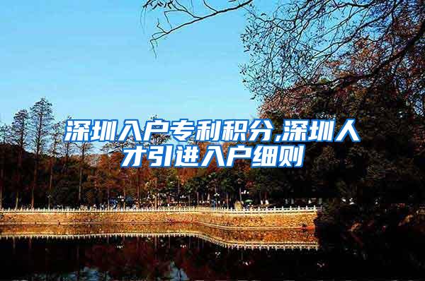 深圳入户专利积分,深圳人才引进入户细则