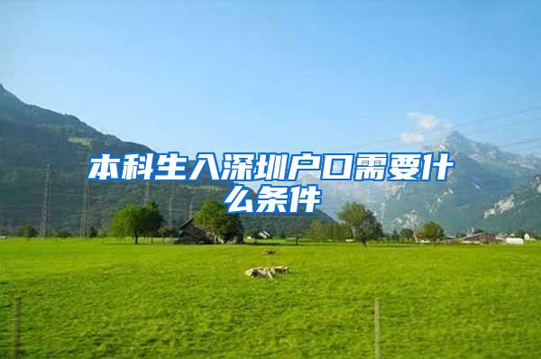本科生入深圳户口需要什么条件