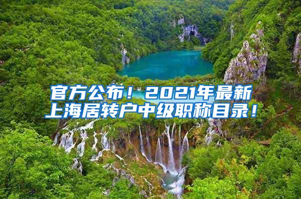 官方公布！2021年最新上海居转户中级职称目录！