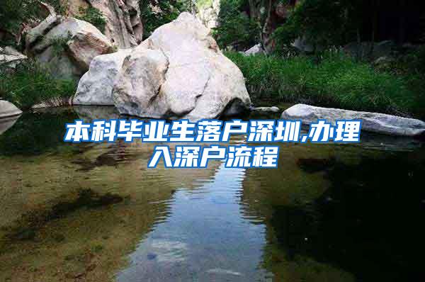 本科毕业生落户深圳,办理入深户流程