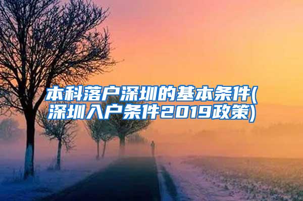 本科落户深圳的基本条件(深圳入户条件2019政策)