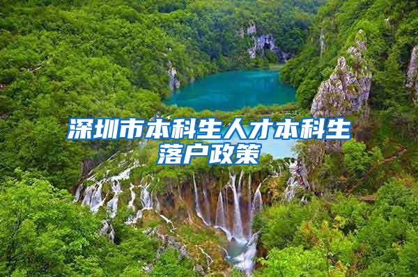 深圳市本科生人才本科生落户政策