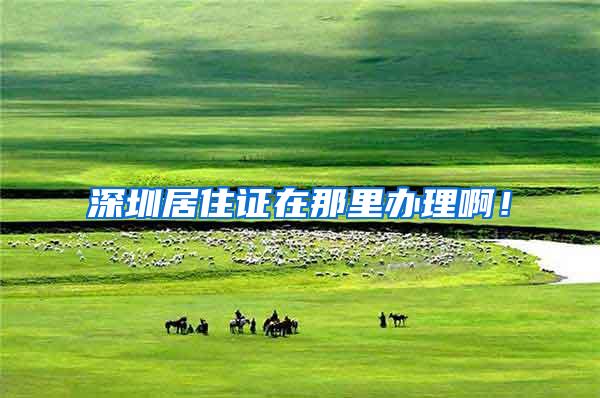 深圳居住证在那里办理啊！