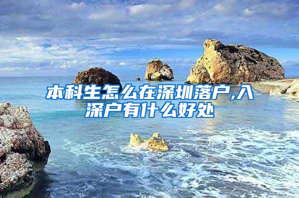 本科生怎么在深圳落户,入深户有什么好处