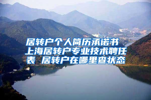 居转户个人简历承诺书 上海居转户专业技术聘任表 居转户在哪里查状态