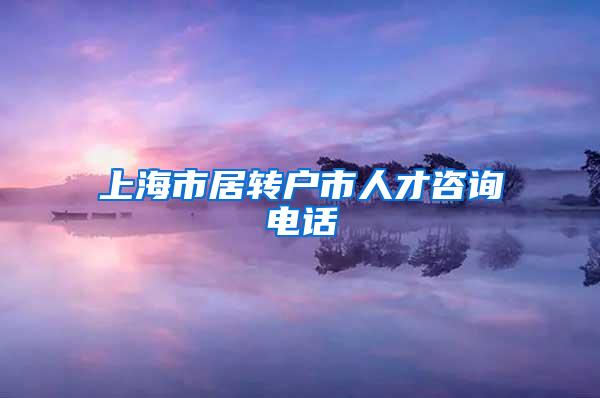 上海市居转户市人才咨询电话