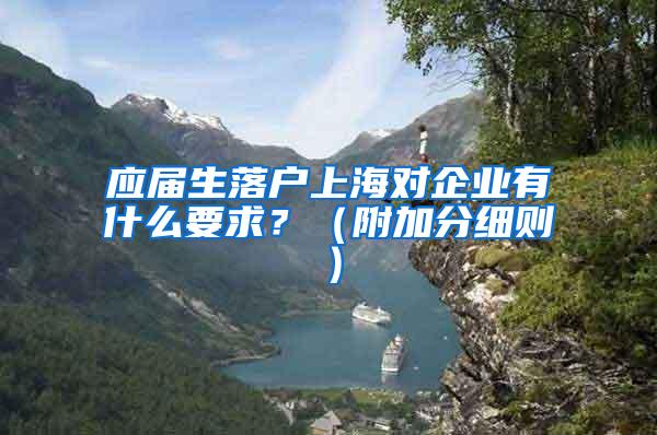 应届生落户上海对企业有什么要求？（附加分细则）
