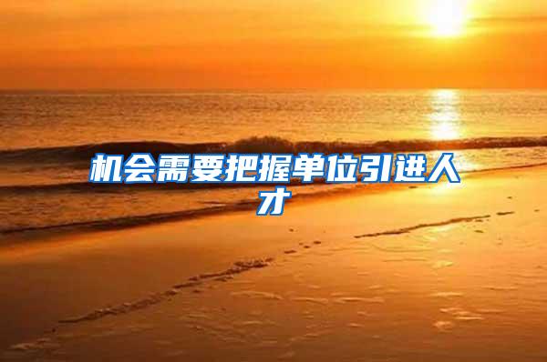 机会需要把握单位引进人才