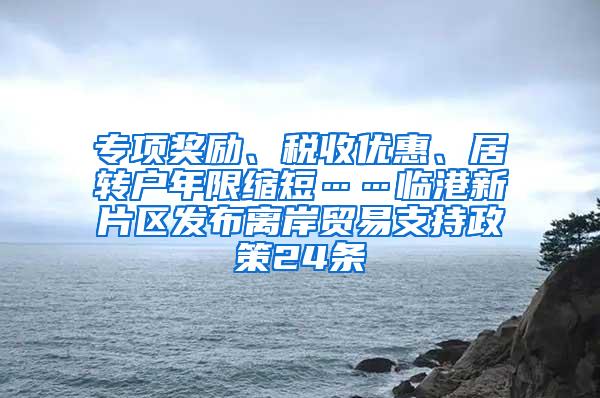 专项奖励、税收优惠、居转户年限缩短……临港新片区发布离岸贸易支持政策24条