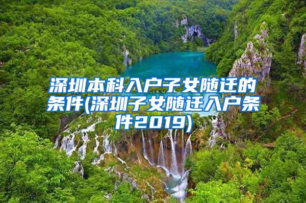 深圳本科入户子女随迁的条件(深圳子女随迁入户条件2019)