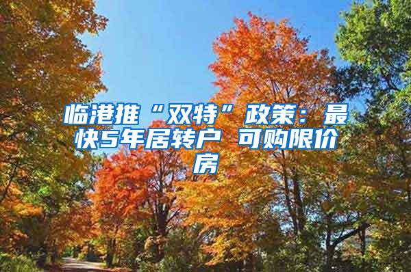 临港推“双特”政策：最快5年居转户 可购限价房
