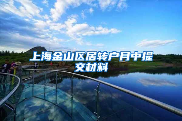 上海金山区居转户月中提交材料