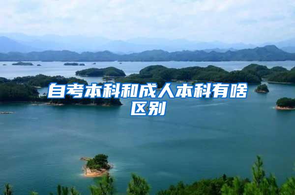 自考本科和成人本科有啥区别