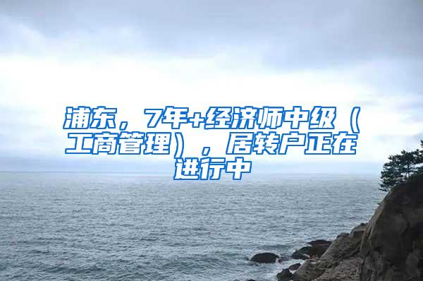 浦东，7年+经济师中级（工商管理），居转户正在进行中