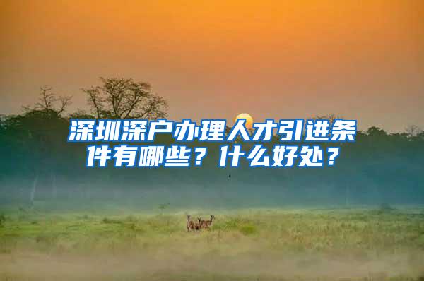 深圳深户办理人才引进条件有哪些？什么好处？