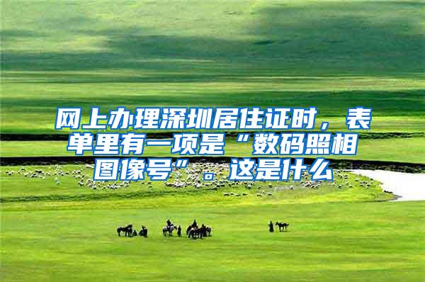 网上办理深圳居住证时，表单里有一项是“数码照相图像号”。这是什么