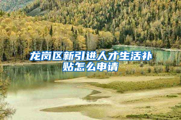 龙岗区新引进人才生活补贴怎么申请