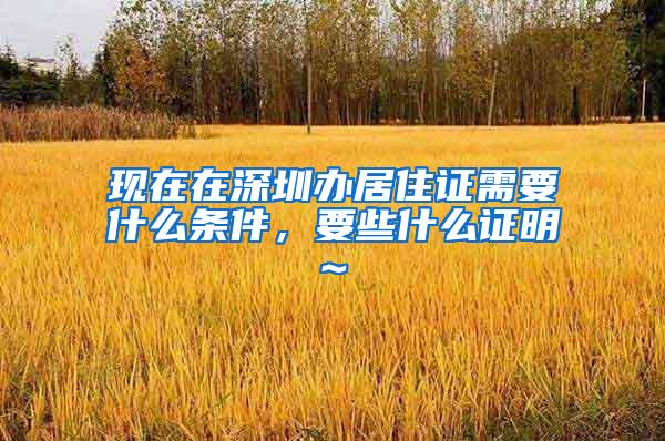 现在在深圳办居住证需要什么条件，要些什么证明~