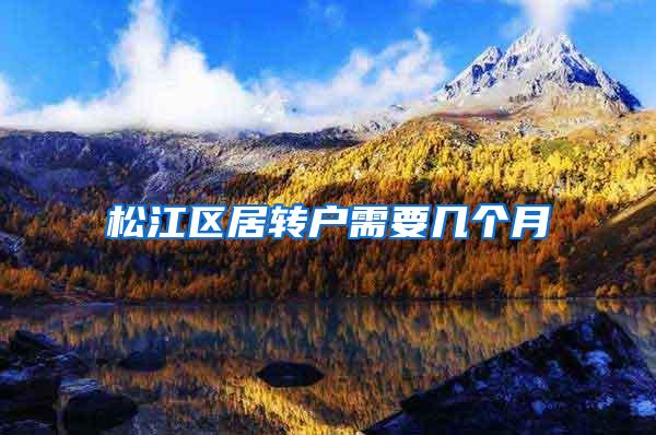 松江区居转户需要几个月