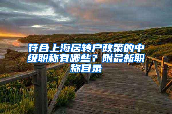 符合上海居转户政策的中级职称有哪些？附最新职称目录