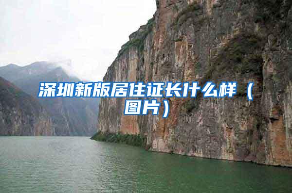 深圳新版居住证长什么样（图片）