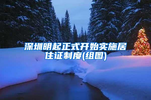 深圳明起正式开始实施居住证制度(组图)