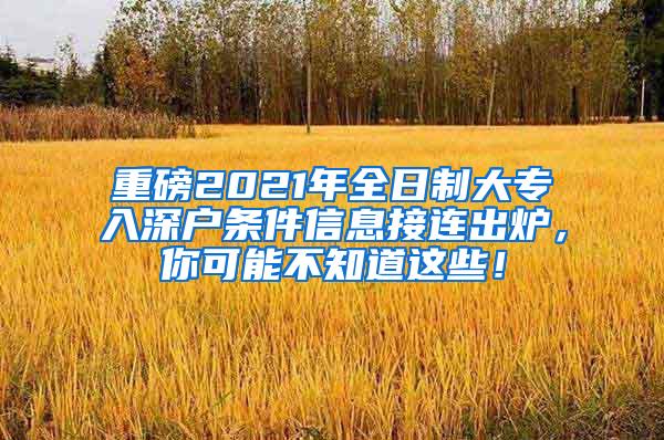 重磅2021年全日制大专入深户条件信息接连出炉，你可能不知道这些！