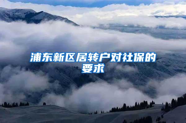 浦东新区居转户对社保的要求