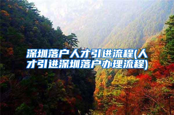深圳落户人才引进流程(人才引进深圳落户办理流程)