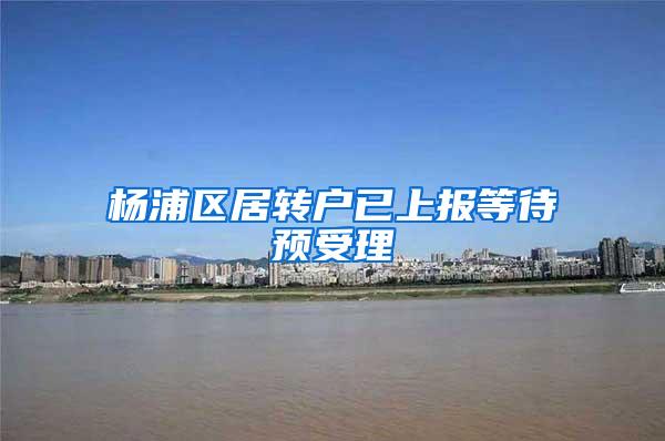 杨浦区居转户已上报等待预受理