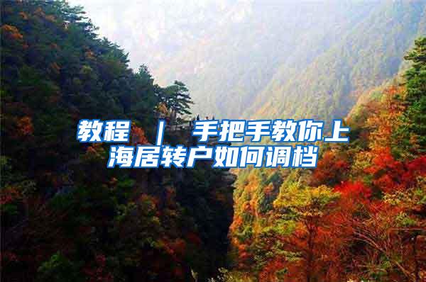 教程 ｜ 手把手教你上海居转户如何调档