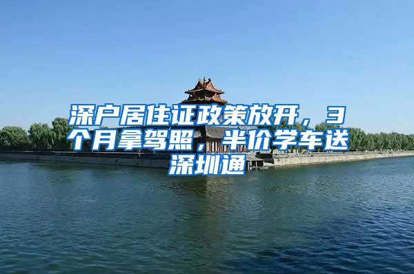 深户居住证政策放开，3个月拿驾照，半价学车送深圳通