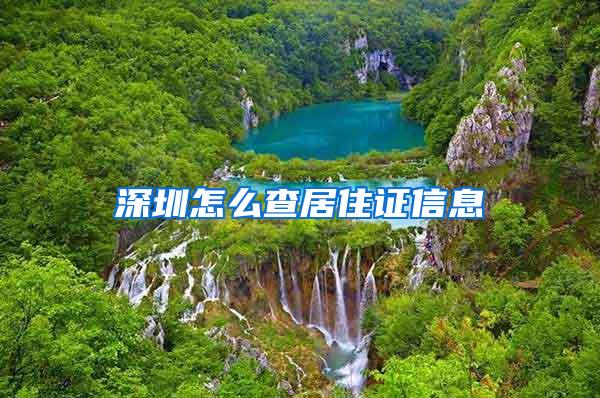 深圳怎么查居住证信息