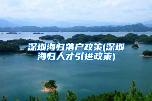 深圳海归落户政策(深圳海归人才引进政策)