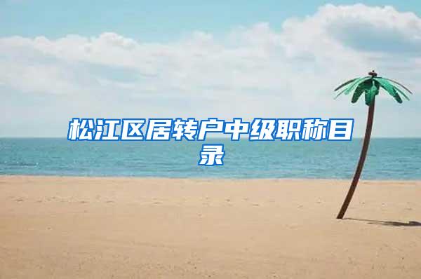 松江区居转户中级职称目录