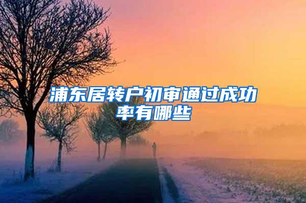 浦东居转户初审通过成功率有哪些