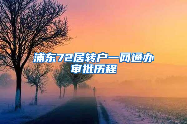 浦东72居转户一网通办审批历程